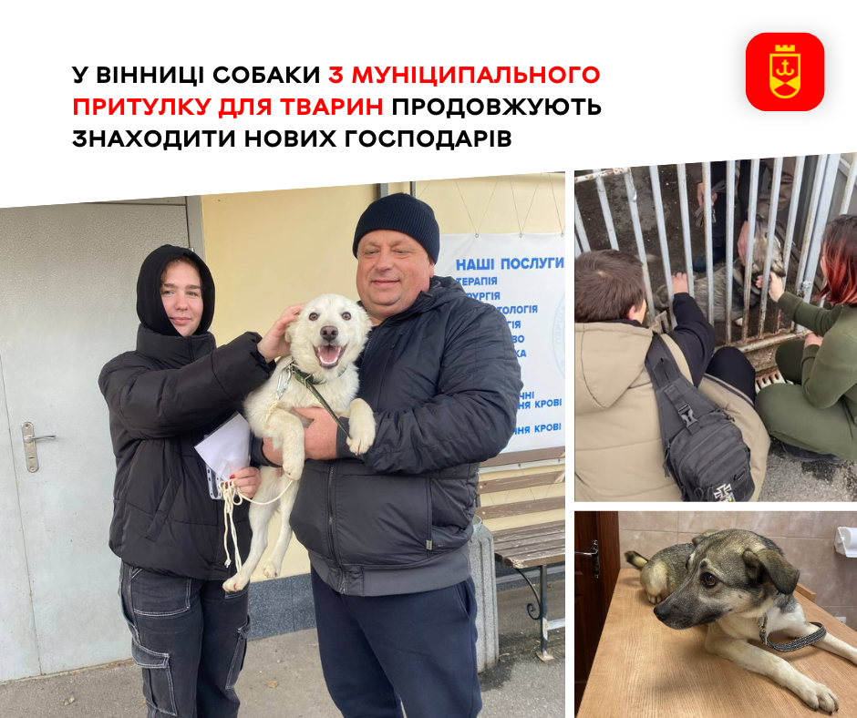 У Вінниці собаки з муніципального притулку для тварин продовжують знаходити нових господарів